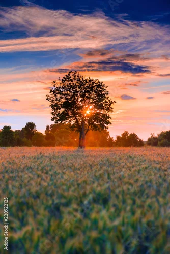 Obraz Piękny wiejski zachód słońca