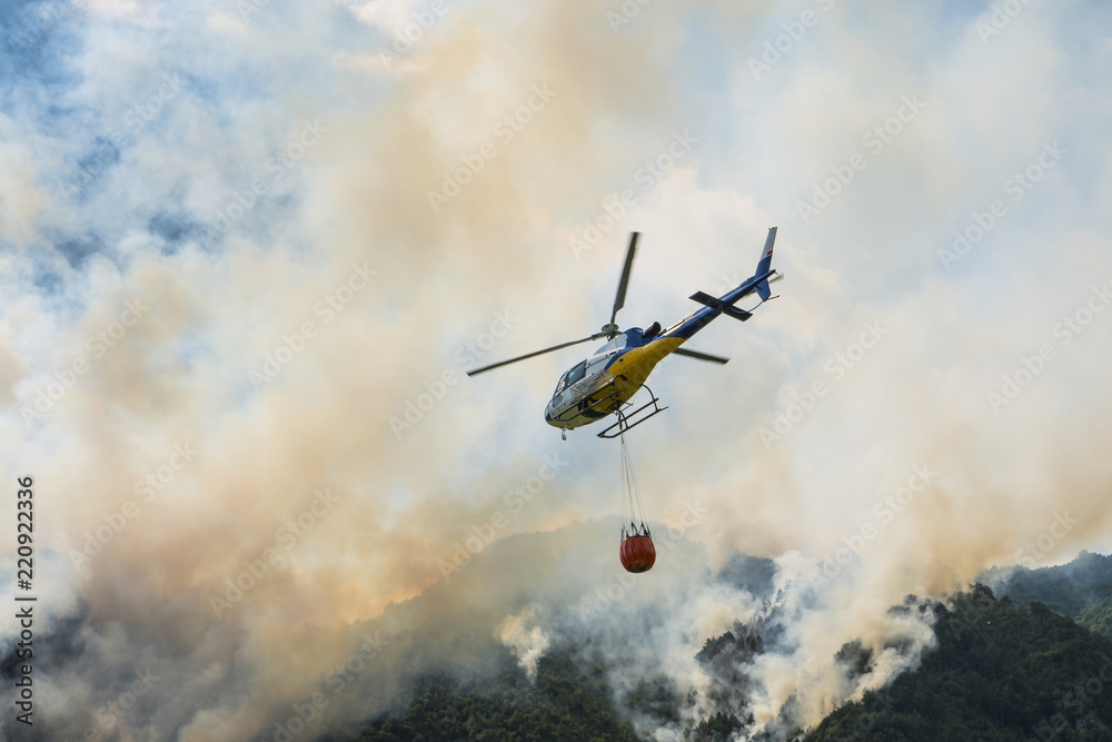 Aerial firefighting with helicopter on a big wildfire in a pine forest ...