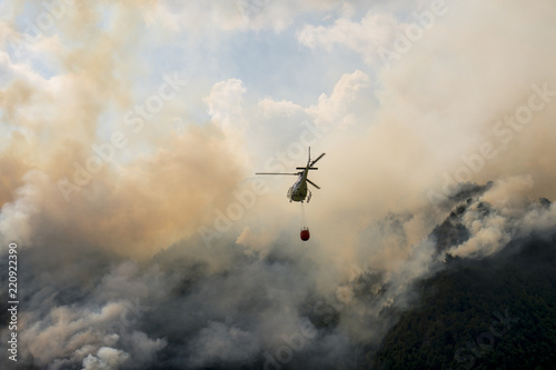 Aerial firefighting with helicopter on a big wildfire in a pine forest photo