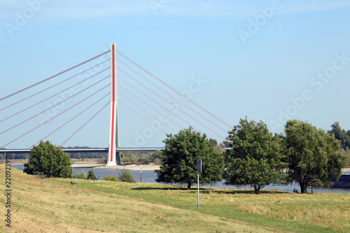 rheinwiesen und rheinbrücke