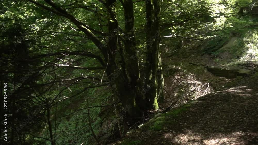 Way of santiago in the pirneos by valcarlos Way of santiago in the pirneos by valcarlos