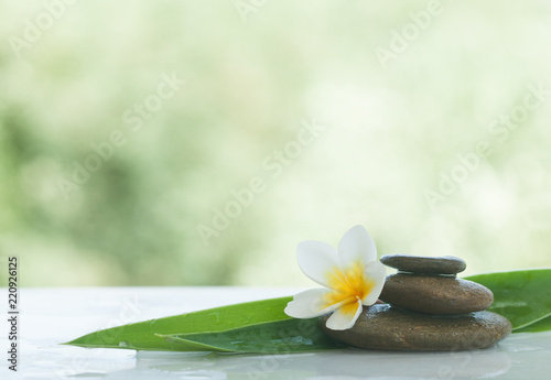 One Flower with stones on white marble background with sunlight