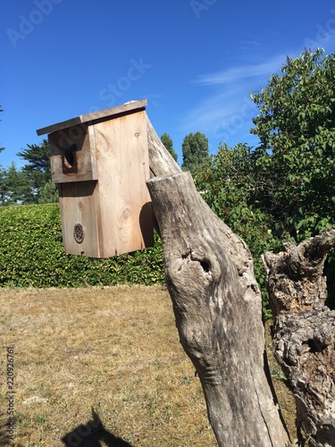 Vogelhäuschen