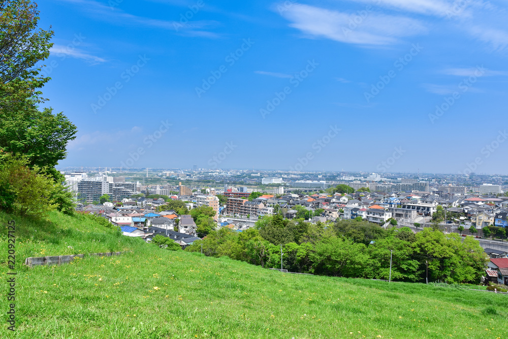 丘から眺める住宅街