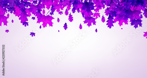 Autumn background with beautiful purple leaves.