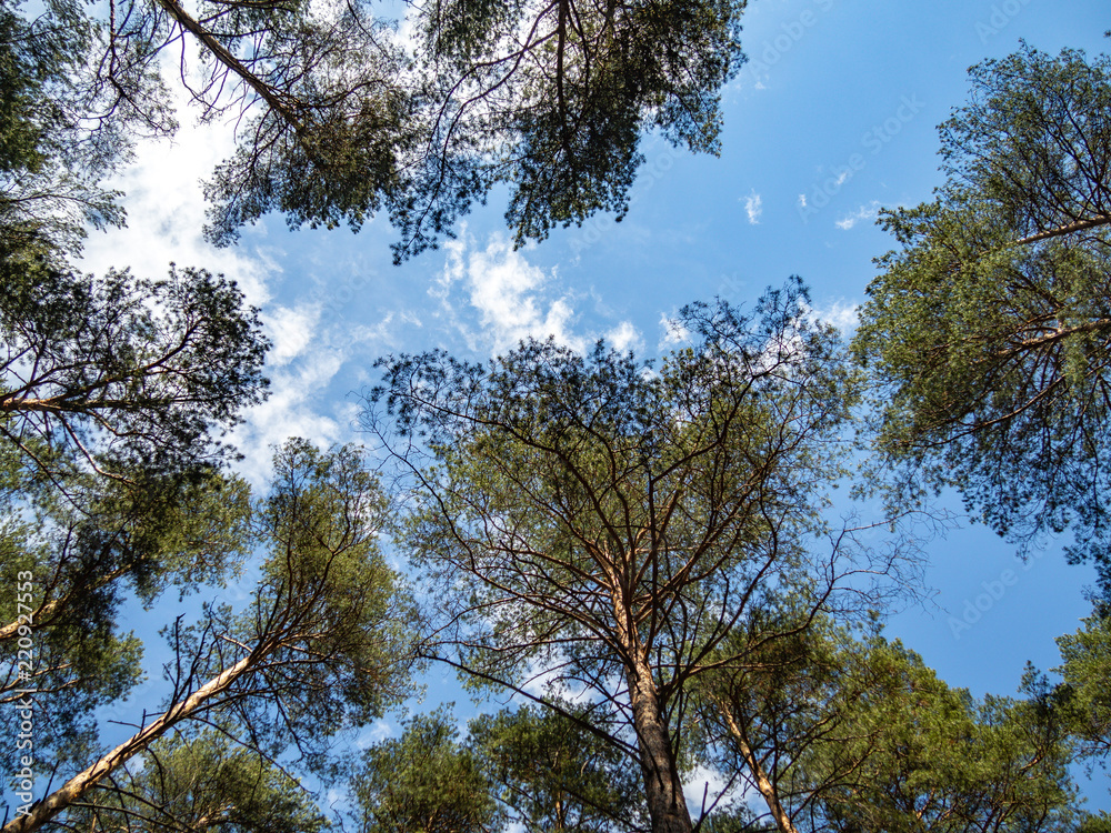 Obraz premium OLYMPUS DIGITAL CAMERA