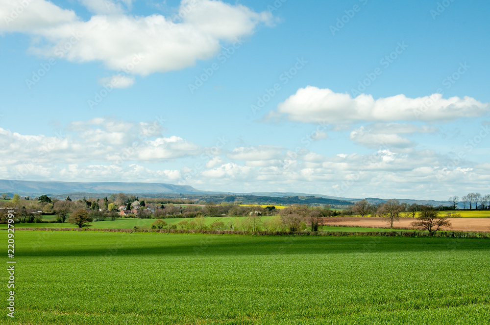 Lush summertime landscape in the British countryside.