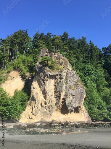 Scenic Views of the beach of the Pacific Northwest overlooking Puget Sound on the Olympic Peninsula