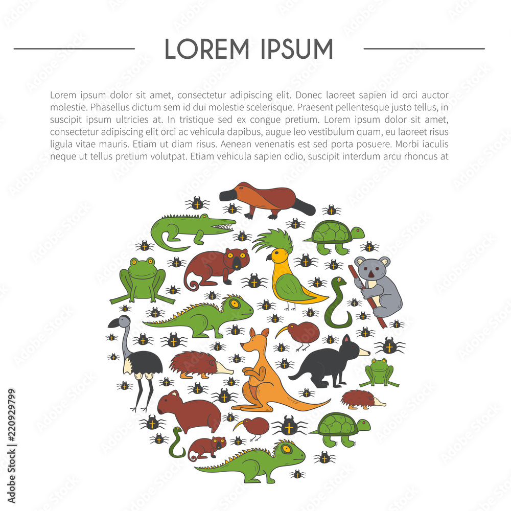 Vector cartoon hand drawn australian animals background Vector cartoon hand drawn australian animals background
