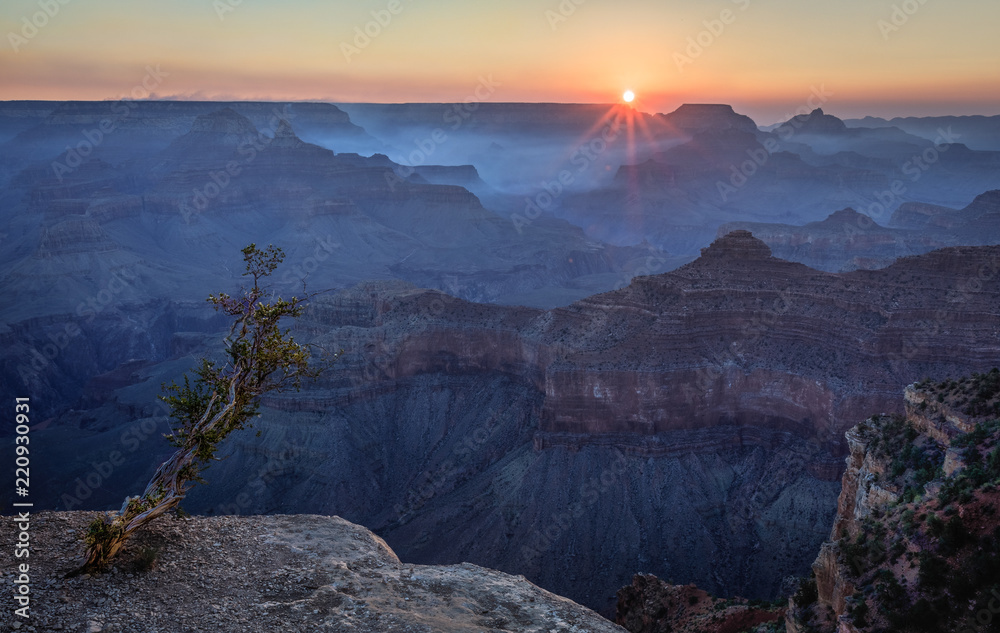 Reaching for the Light: Grand Canyon Sunrise