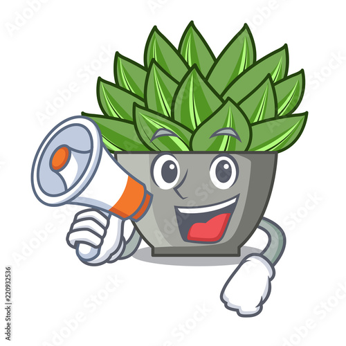 With megaphone character cartoon pot plant echeveria cactus