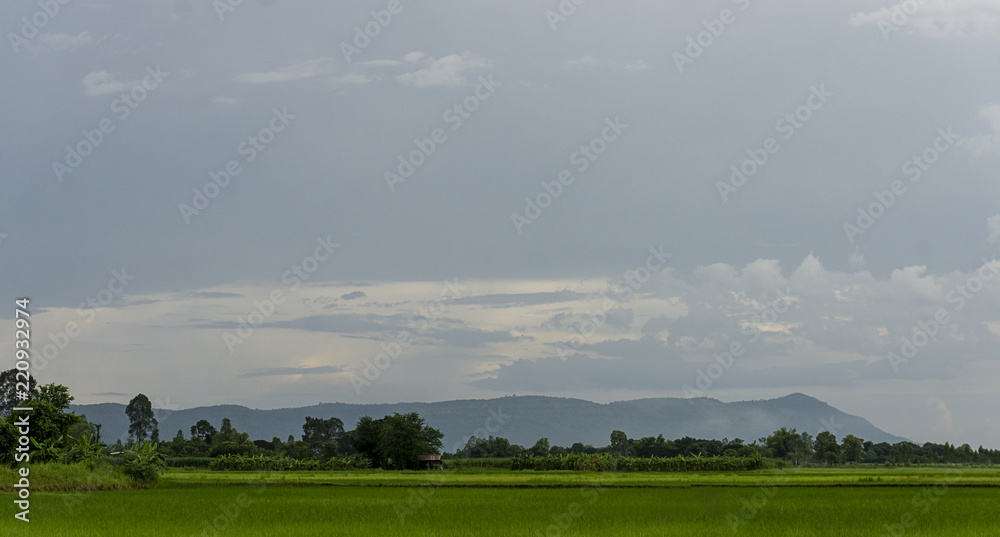 Beautiful landscape Green field In front of the mountain in sky with white clouds on background, Copy Space, Panorama view.