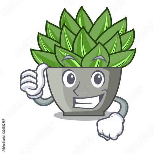 Thumbs up view of green echeveria cactus cartoon