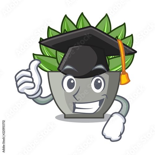 Graduation view of green echeveria cactus cartoon
