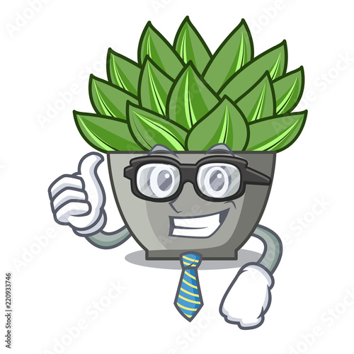 Businessman view of green echeveria cactus cartoon