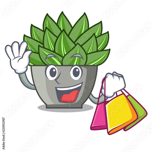 Shopping view of green echeveria cactus cartoon
