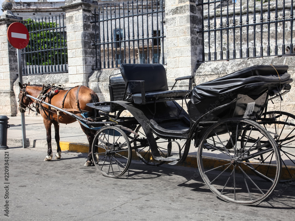 Horse and vintage coach waiting the passengers close to fence, outdoors. Cuba, Havana