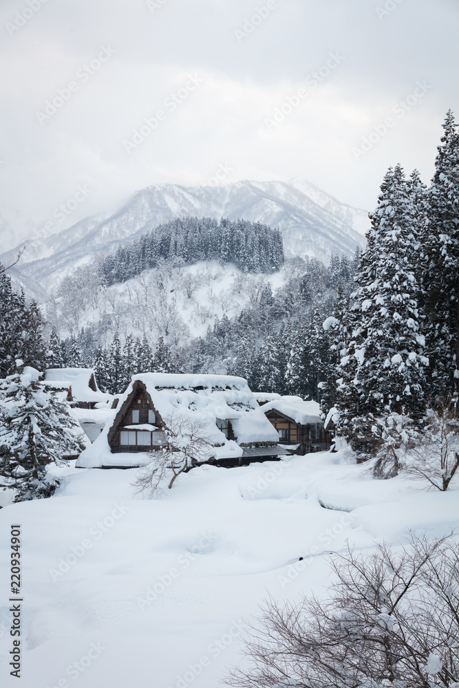 富山県 相倉合掌造り集落 雪景色
