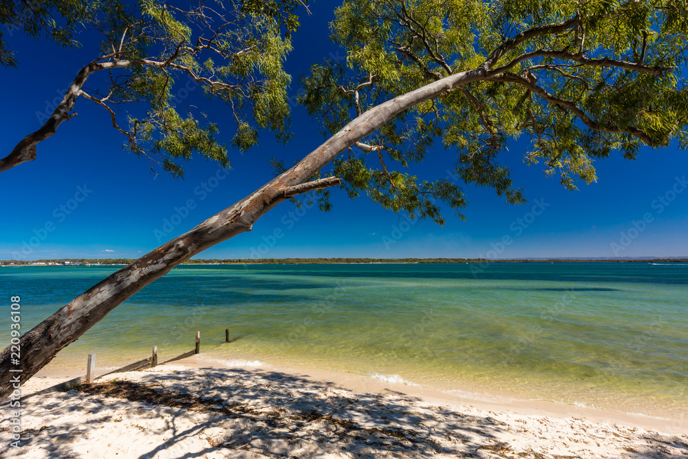 Beach with trees on the west side of Bribie Island, Queensland, Australia