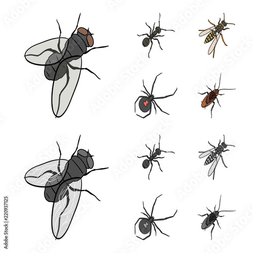 An insect arthropod, an osa, a spider, a cockroach. Insects set collection icons in cartoon,monochrome style vector symbol stock isometric illustration web.