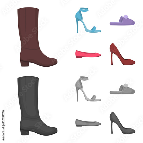 Blue high-heeled sandals, homemade lilac slippers with a pampon, pink women s ballet flats, brown high-heeled shoes. Shoes set collection icons in cartoon,monochrome style vector symbol stock