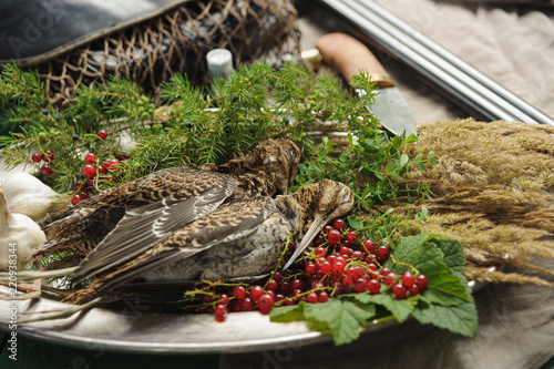 Wild hunting fowls in cooking. Two snipe or woodcock lie on metal dish. Hunting composition, outdoors. Wildfowl hunting.