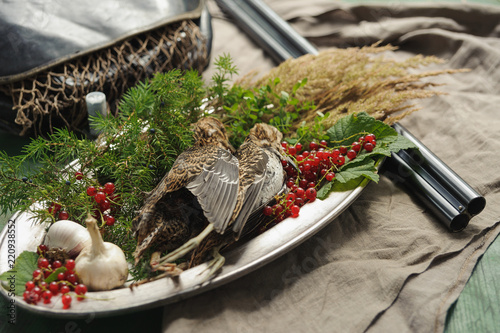 Wild hunting fowls in cooking. Two snipe or woodcock lie on metal dish. Hunting composition, outdoors. Wildfowl hunting. photo