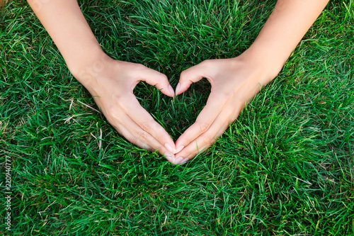 Hands in the grass in the form of heart.hands holding green heart shaped grass/ green baby plants arranged in a heart shape / love nature / save the world / heal the world / environmental preservation