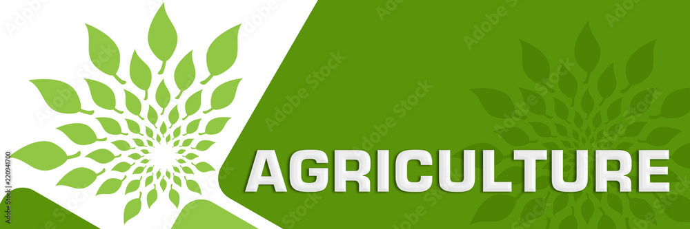 Agriculture Green Leaves Circular Rounded Squares Agriculture Green Leaves Circular Rounded Squares