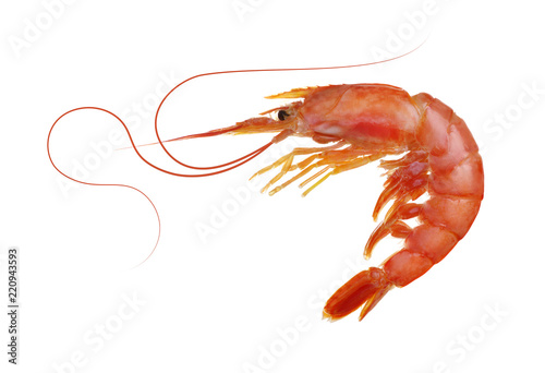 Fresh cooked shrimp isolated on white.