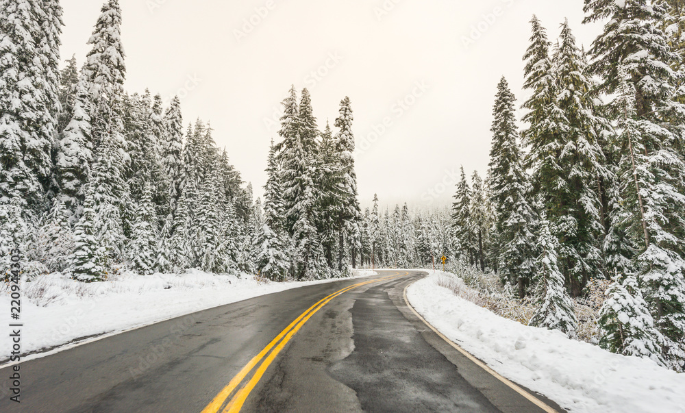 scenic view of the road in the forest with snow covered. scenic view of the road in the forest with snow covered.