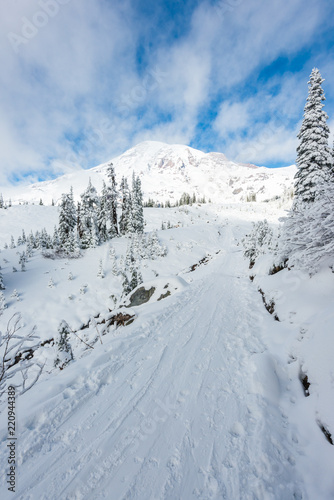 a path cover with snow in paradise area,scenic view of mt Rainier National park,Washington,USA. © checubus