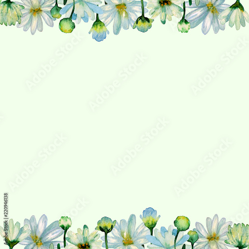Floral watercolor background. Hand drawn chrysanthemum flowers, branches, leaves. Chrysanthemum Flower. Copy space for text, design card, wedding invitation, greeting, letter, poster, broadsheet, menu