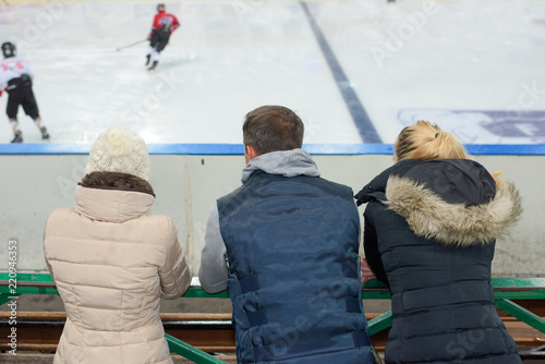 public watching an ice hockey match