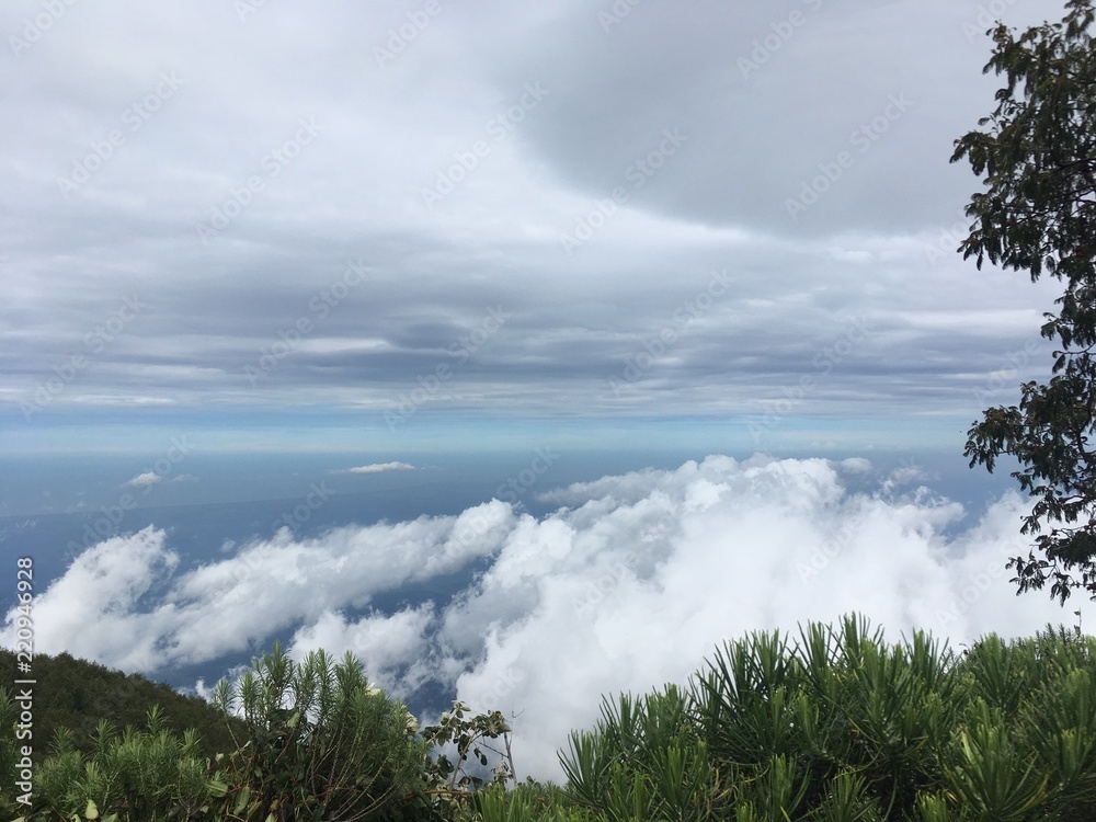 Obraz premium bright clouds at altitude