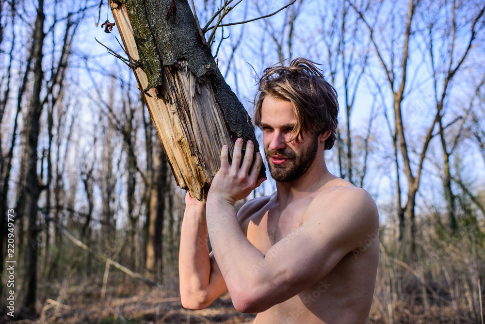 Masculinity concept. Man brutal strong attractive guy collecting wood in  forest. Man brutal sexy lumberjack carry big log in forest. Lumberjack or woodman  sexy naked muscular torso gathering wood Stock Photo