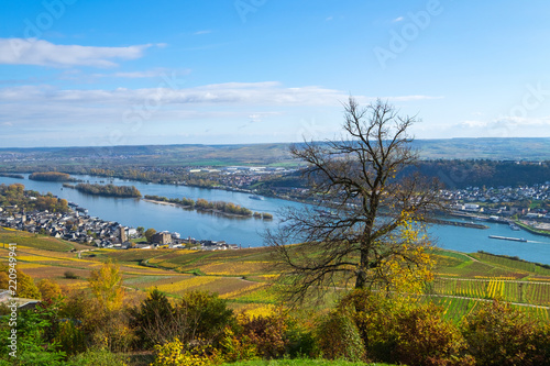 Der Rheingau bei Rüdesheim im Herbst