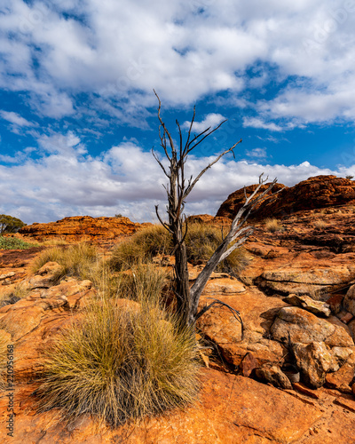 Kings Canyon
