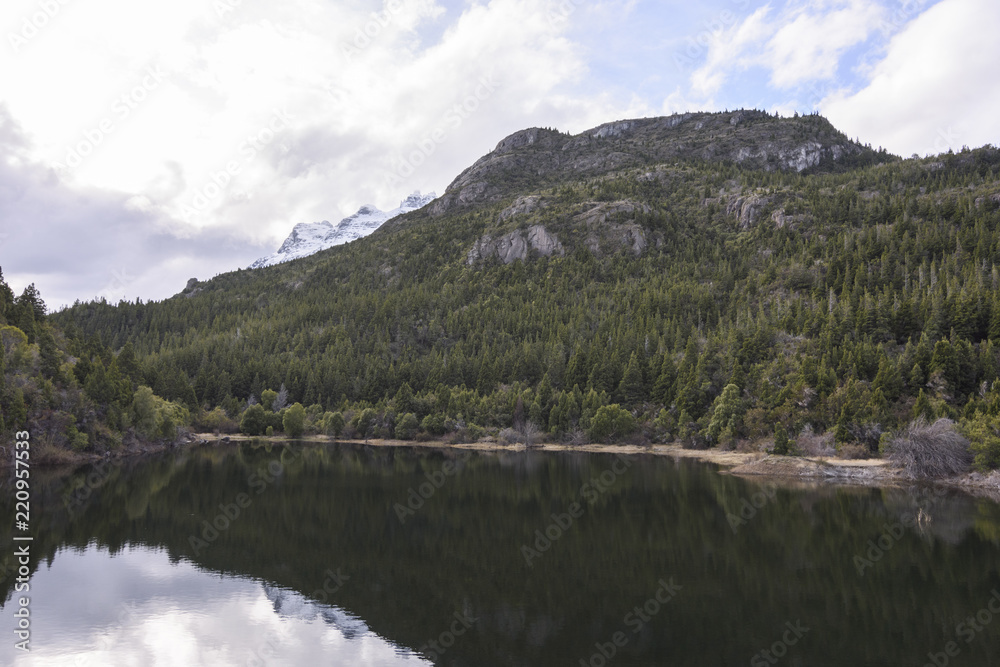 Scenic View Of Lake Reflected Against Forest