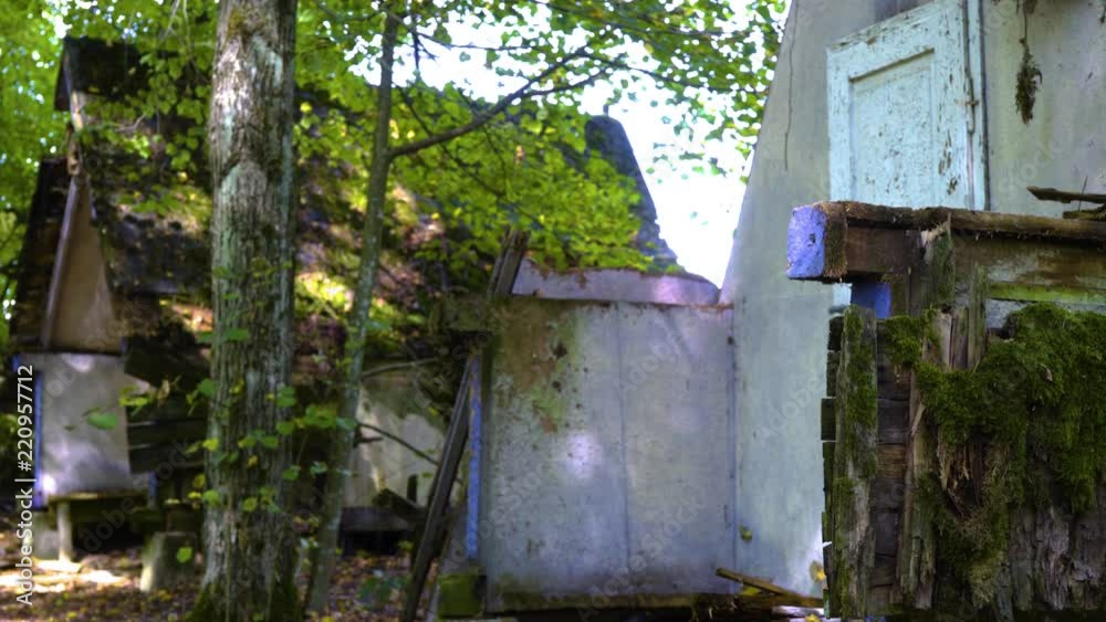Two ruins of a bouildings in gree woods Two ruins of a bouildings in gree woods
