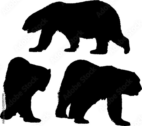 three large polar bears isolated black silhouettes