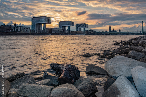 Kranhäuser, Kölner Dom und Severinsbrücke - Ausblick von den Poller Wiesen aus über den Rhein - Kölner Panorama bei Sonnenuntergang in Goldenen Farben