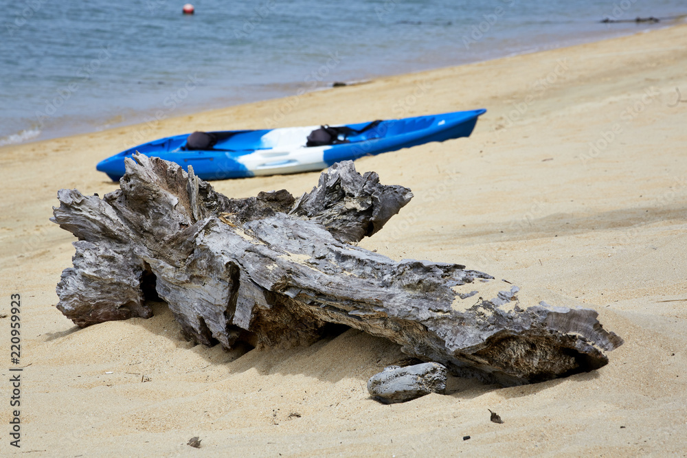 Kajak Beach Strand Sand Holz Baumstamm Urlaub paddeln rudern Stock Photo |  Adobe Stock