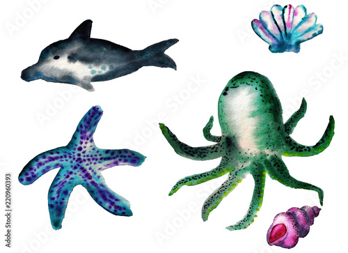 Watercolor sea creatures