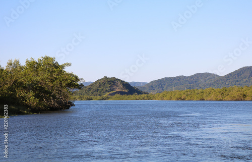 Wonderful view of the Itapanhau river, blue sky and tropical trees of the Atlantic Forest background - city of Bertioga, Brazil