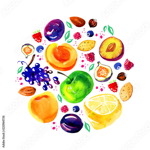 Fototapeta Naklejka Na Ścianę i Meble -  Stylized hand drawn watercolor illustration with apples, lemons, plums, apricots, berries and nuts in circle