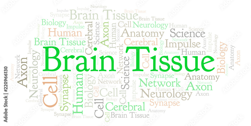 Brain Tissue word cloud.