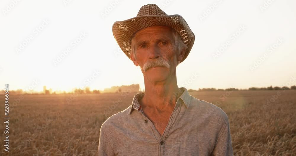 closeup portrait of old farmer in hat with moustache standing in middle of golden wheat field in sunset - agriculture concept 4k