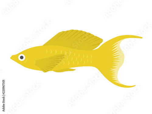 熱帯魚