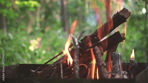 Wood Burning In The Braizer. Fire For Cooking.